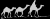camels_gpw.png